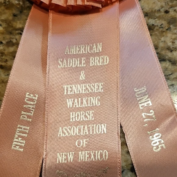 3 Vintage 1965 American Saddle Bred Tennessee Walker horse show rosettes ribbons - Picture 13 of 14